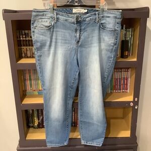 TORRID Plus Size Light Wash Skinny Jeans Size 20 Short